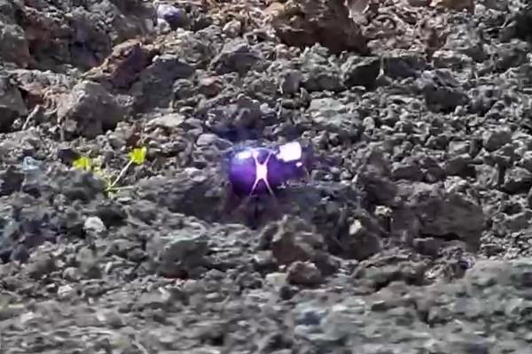 �s�u(y��)�Y�|(zh��)