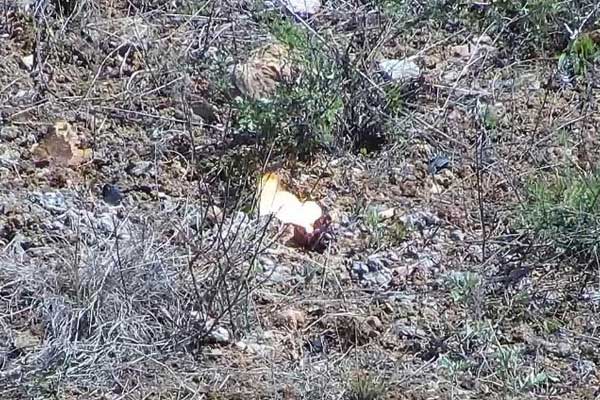 �s�u(y��)�Y�|(zh��)